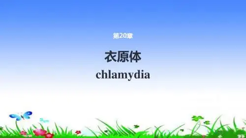 细菌学优秀课件-衣原体