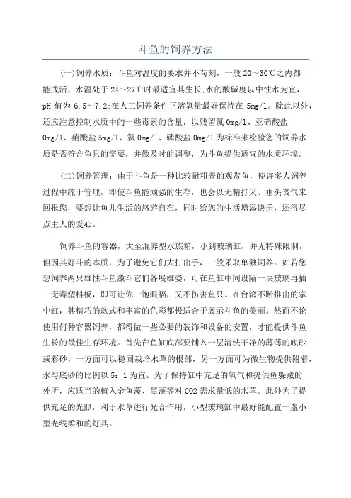斗鱼的饲养方法