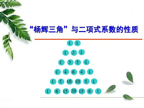 《1.3.2 杨辉三角》PPT课件(云南省市级优课)