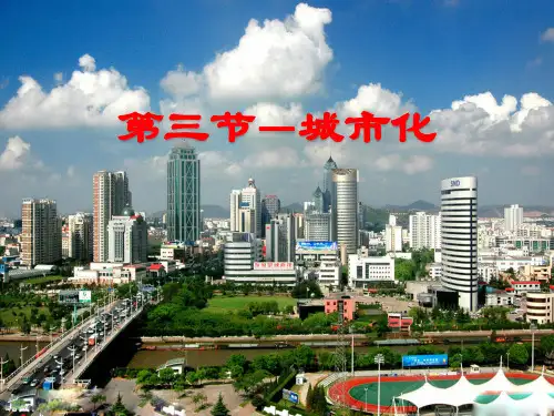 高一地理必修2第二章第三节城市化
