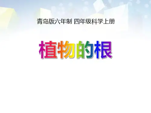 《植物的根》 图文