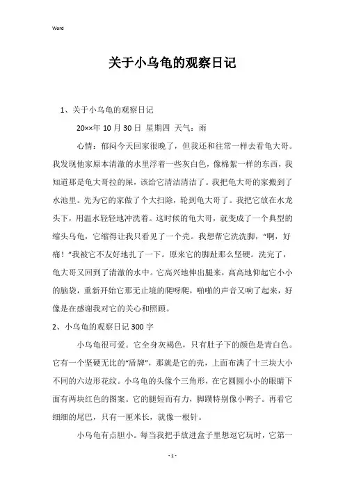 关于小乌龟的观察日记