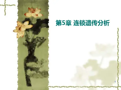 遗传学第5章 连锁遗传分析