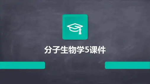分子生物学5课件
