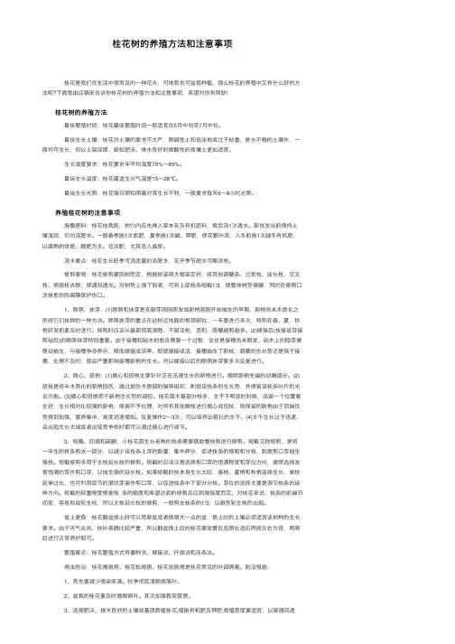 桂花树的养殖方法和注意事项