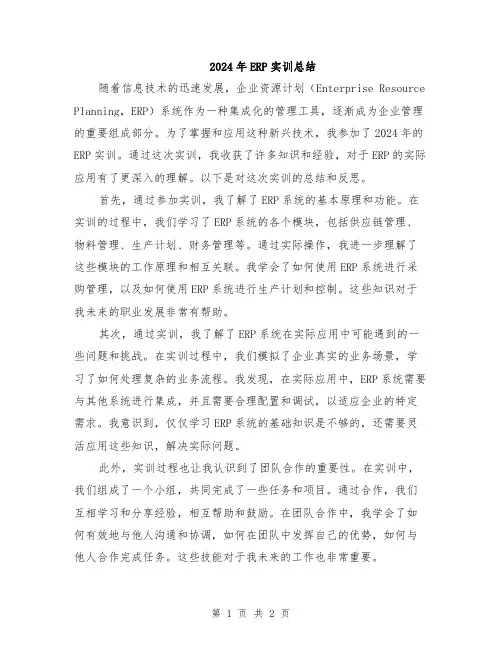 2024年ERP实训总结