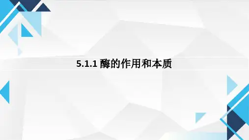 酶的作用和本质的课件-高一上学期生物人教版(2019)必修1