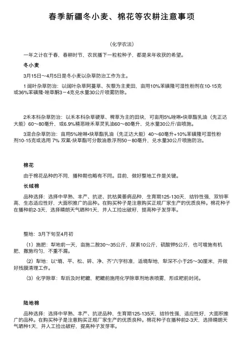 春季新疆冬小麦、棉花等农耕注意事项