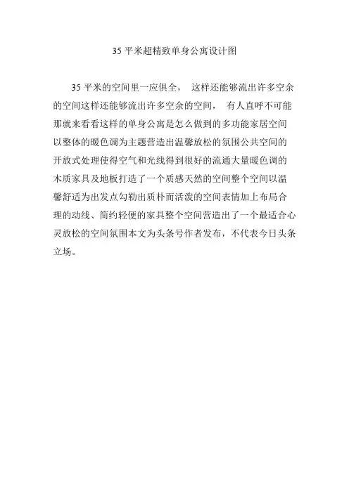 35平米超精致单身公寓设计图