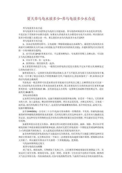 夏天养乌龟水放多少-养乌龟放多少水合适