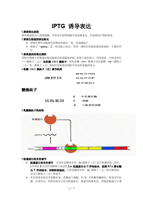 IPTG-诱导表达