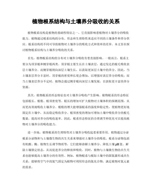 植物根系结构与土壤养分吸收的关系