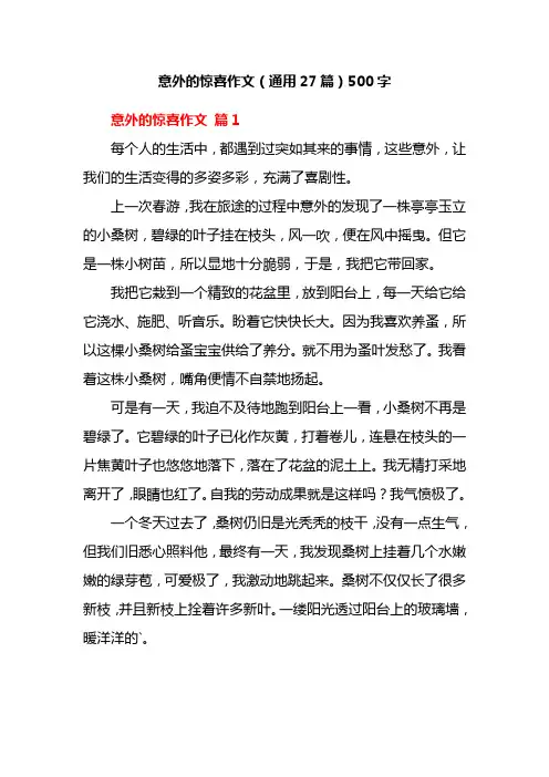 意外的惊喜作文(通用27篇)500字