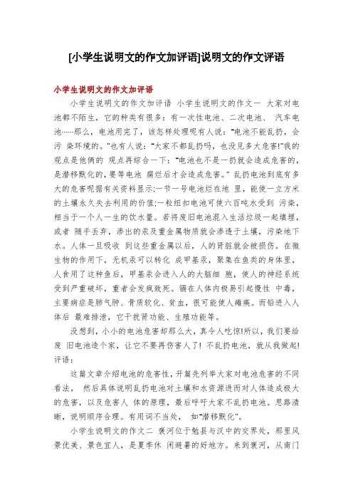 [小学生说明文的作文加评语]说明文的作文评语