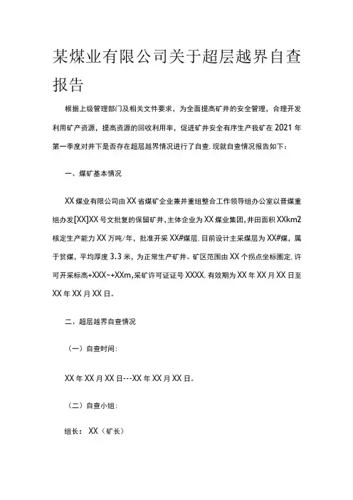 某煤业公司超层越界自查报告范文