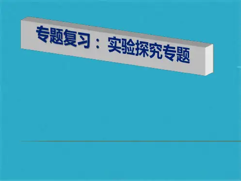 中考化学专题复习 实验探究 课件 人教新课标版(共19张PPT)