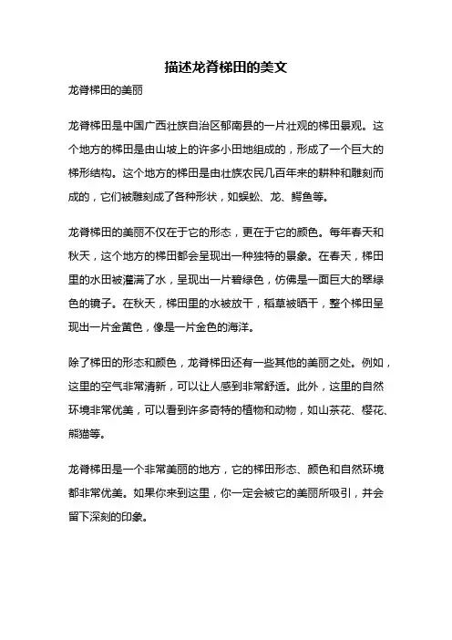 描述龙脊梯田的美文