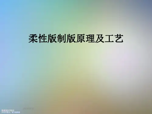 柔性版制版原理及工艺