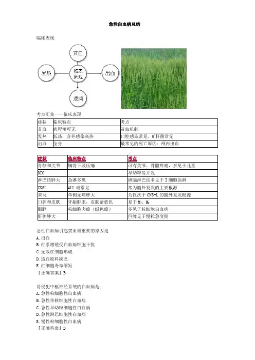 急性白血病总结