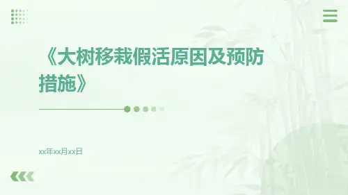 大树移栽假活原因及预防措施