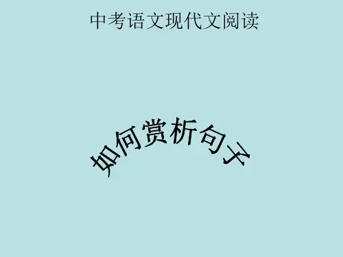 中考语文专题复习记叙文如何赏析句子课件