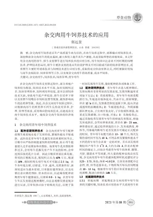 杂交肉用牛饲养技术的应用