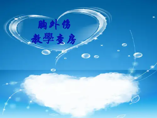 胸外伤教学查房PPT课件