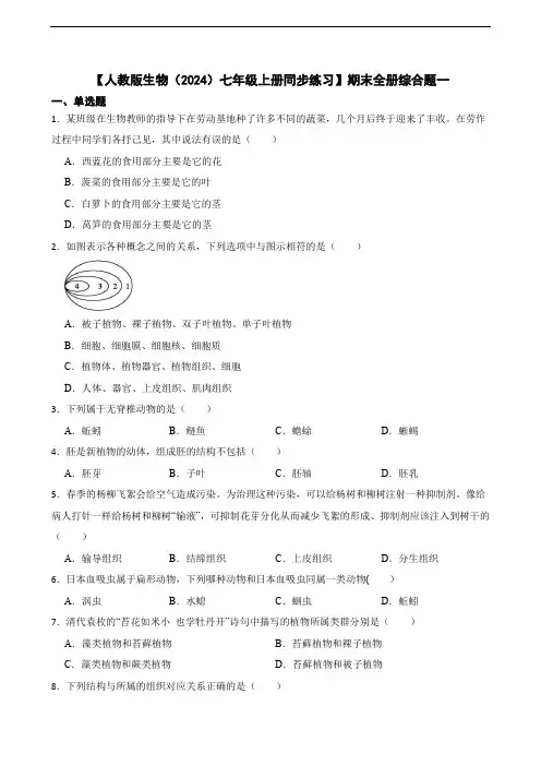 【人教版生物(2024)七年级上册测试卷】期末全册综合题一(含答案)