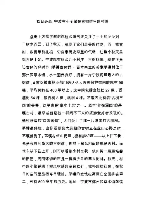 秋日必去 宁波有七个藏在古树群里的村落