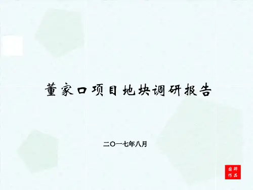 董家口项目地块调研报告