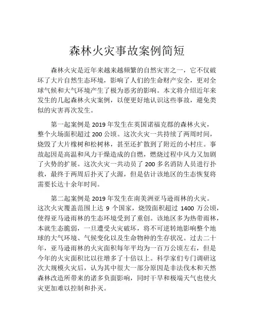 森林火灾事故案例简短
