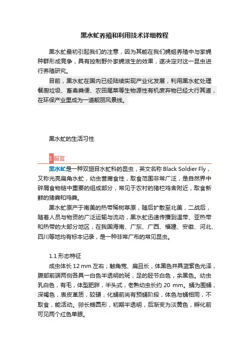 黑水虻养殖和利用技术详细教程