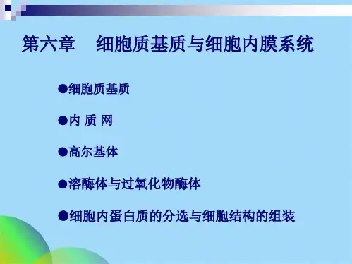 细胞质基质和细胞内膜系统学时(共72张PPT)
