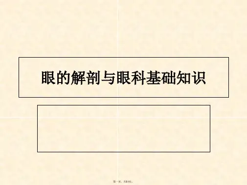 眼的解剖与眼科基础知识