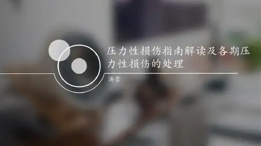 压力性损伤指南解读及各期压力性损伤的处理ppt课件