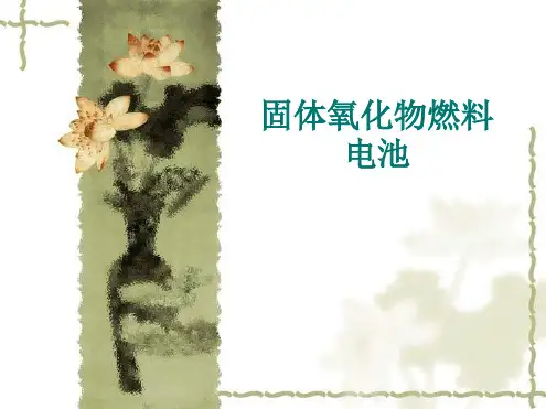 固体氧化物燃料电池资料
