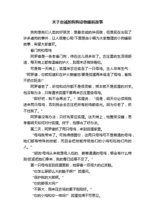 关于忠诚的狗狗动物睡前故事