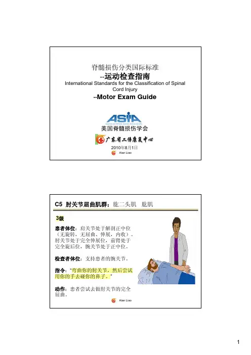 脊髓损伤分类国际标准(ASIA)-运动检查指南