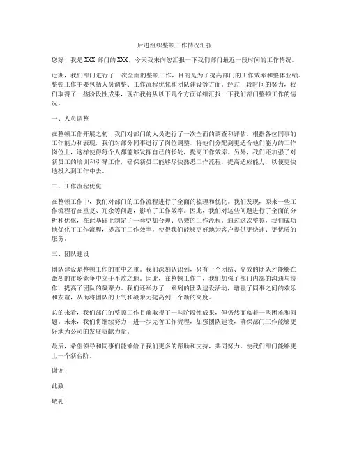 后进组织整顿工作情况汇报