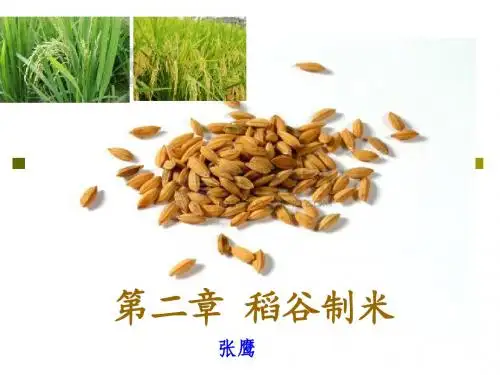 第二章 稻谷制米