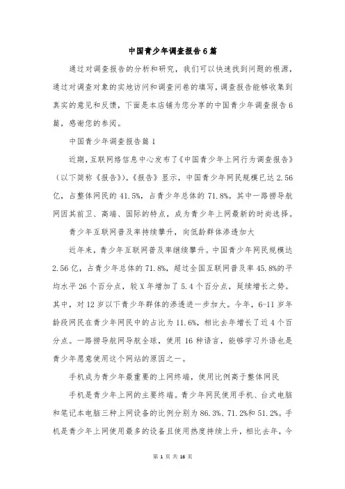 中国青少年调查报告6篇