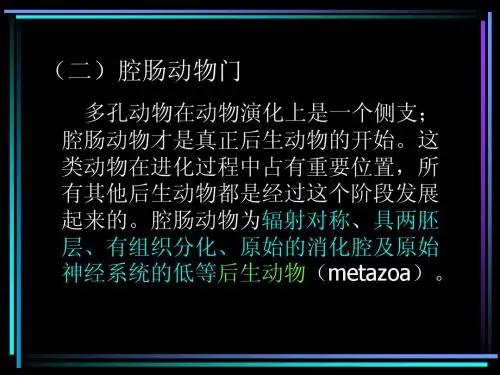 腔肠动物门