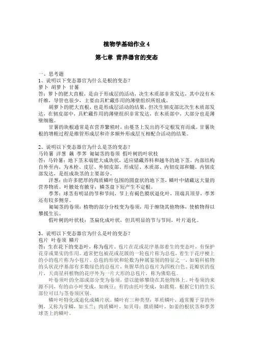 形成性考核作业4