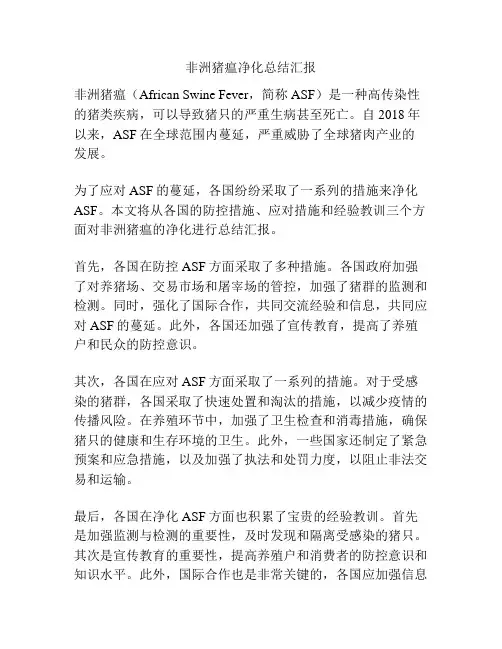非洲猪瘟净化总结汇报