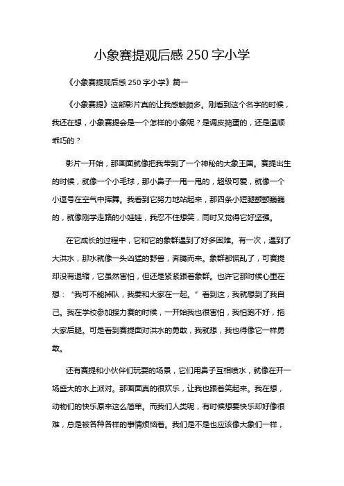 小象赛提观后感250字小学