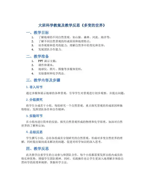 大班科学教案及教学反思《多变的世界》