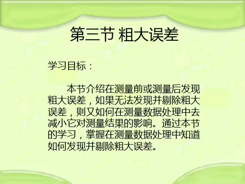 粗大误差理论(精)