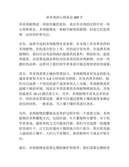 养多肉的心得体会400字