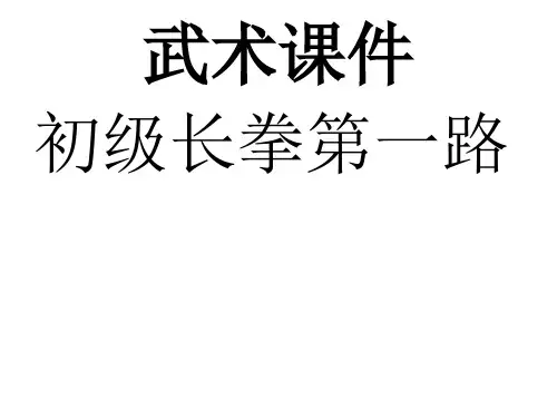 武术初级长拳第一路