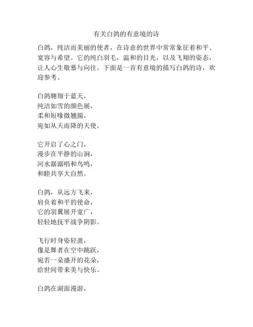有关白鸽的有意境的诗